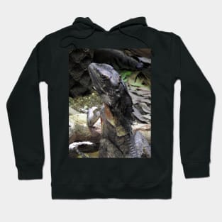 Frilled-necked Lizard Hoodie